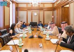 نائب وزير الخارجية يلتقي رئيسة لجنة الشؤون الخارجية والدفاع في مجلس الشيوخ الإيطالي