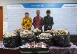 MoI pursues international  links of drug gang dismantled by Sharjah Police