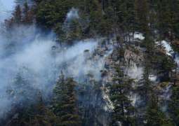 Canada's wildfires burn more than 5.5 million hectares