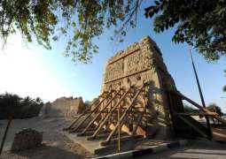 DCT Abu Dhabi announces 14th Terra World Congress partners