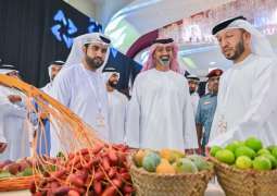 Ammar bin Humaid opens 'Liwa Ajman Dates & Honey Festival 2025'