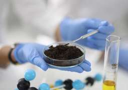 Scientific study reveals promising prospects for sustainable agriculture in UAE
