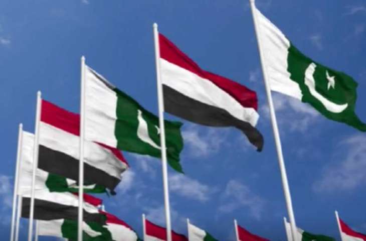 وکیل وزارة الخارجیة لشوٴون الشرق الأوسط یستقبل سفیر الیمن لدی باکستان