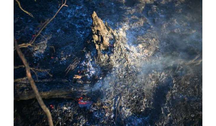 Hundreds of firefighters battling wildfire in southern France