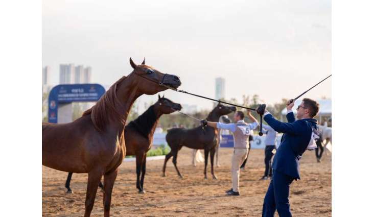 Thrilling finale for Emirates Arabian Horse Global Cup China 2025
