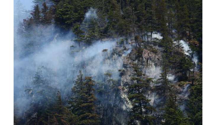 Canada's wildfires burn more than 5.5 million hectares