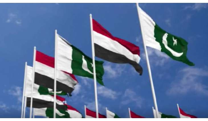 وکیل وزارة الخارجیة لشوٴون الشرق الأوسط یستقبل سفیر الیمن لدی باکستان