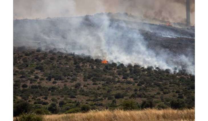 Wildfire in central Türkiye kills 10, injures 14