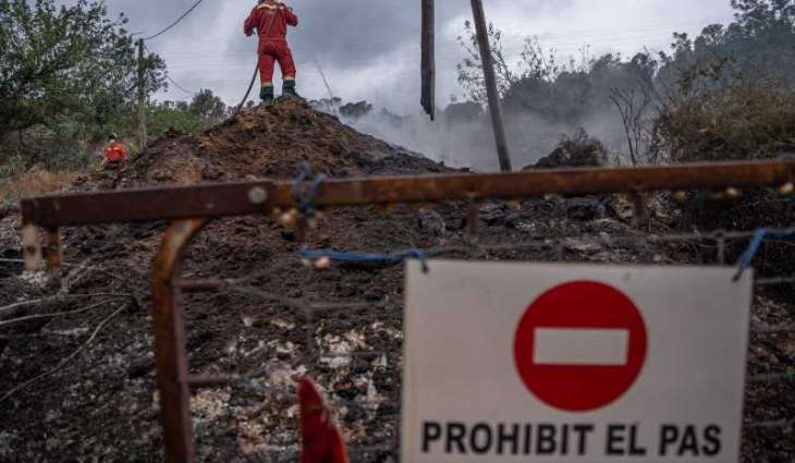 Firefighters bring forest fire near Tarragona in Spain under control