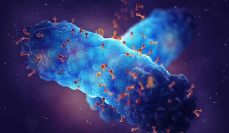 Livestock and Fisheries Program Announces Localization of 'PhageGuard' Technology