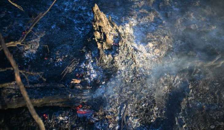 Hundreds of firefighters battling wildfire in southern France
