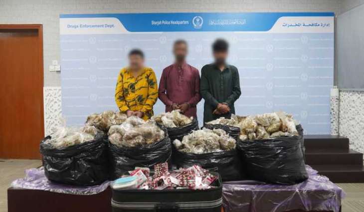 MoI pursues international  links of drug gang dismantled by Sharjah Police