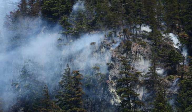 Canada's wildfires burn more than 5.5 million hectares