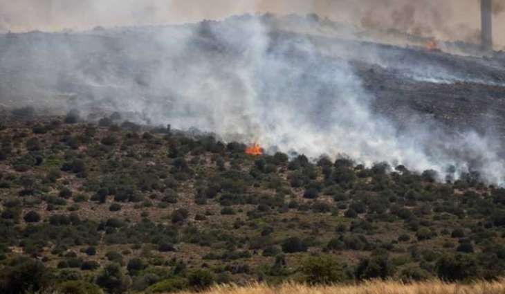 Wildfire in central Türkiye kills 10, injures 14