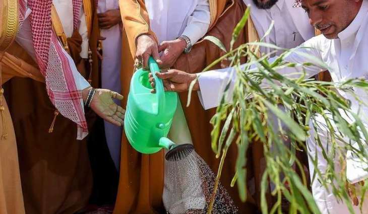 Green Qassim Land Initiative Praised at UN Sustainable Development Forum
