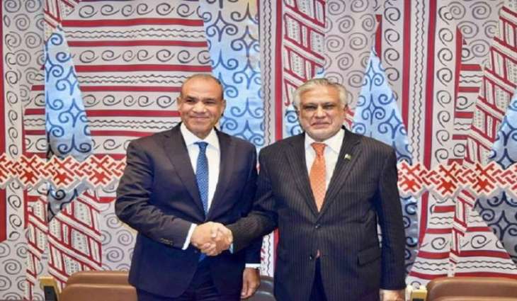 وزیر الخارجیة اسحاق دار یبحث مع نظیرہ المصري القضایا الدولیة