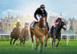 Eleven horses line up in Netherlands for 8th leg of UAE President’s Cup for Purebred Arabian Horses