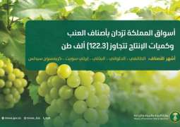 أسواق المملكة تزدان بأجود أصناف العنب وكميات الإنتاج تتجاوز (122.3) ألف طن