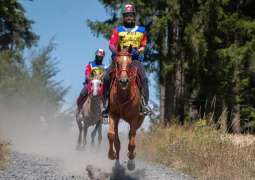 UAE claims individual, team titles at FEI Endurance World Championship for Young Horses 2025 in France