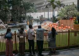SeaWorld Abu Dhabi enriches marine knowledge, entertainment