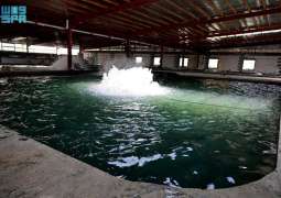Eastern Region Fish Farms Boost Food Security and Exports