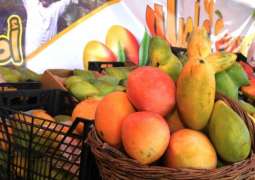 الذهب الأخضر.. رافد اقتصادي يعزز الزراعة المصرية