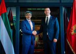 Abdullah bin Zayed meets Prime Minister of Montenegro in Podgorica