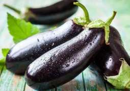 Eggplant: A powerful ingredient for weight loss, health benefits