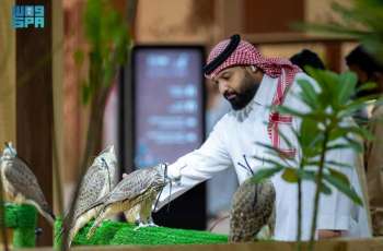 International Falcon Breeders Auction Boosts Falcon Production Quality