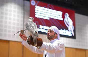 بدء مزادات الصقور  بعد غد قبيل انطلاق معرض أبوظبي الدولي للصيد والفروسية