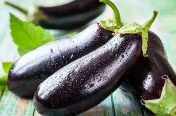 Eggplant: A powerful ingredient for weight loss, health benefits