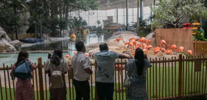 SeaWorld Abu Dhabi enriches marine knowledge, entertainment