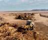 RCU Transforms Palm Waste into Fertilizer in Landmark Sustainability Project