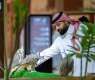 International Falcon Breeders Auction Boosts Falcon Production Quality