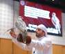 ADIHEX expands its falcon auction to eight days