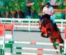 Horse Stables on Jeddah's Beaches: A Tourist Destination Combining Sports and Entertainment