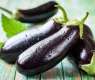 Eggplant: A powerful ingredient for weight loss, health benefits