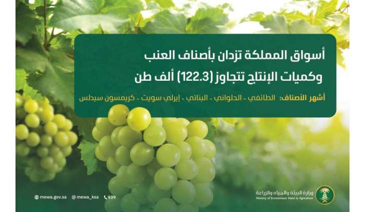 أسواق المملكة تزدان بأجود أصناف العنب وكميات الإنتاج تتجاوز (122.3) ألف طن