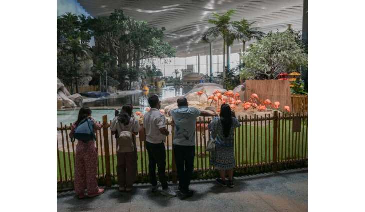 SeaWorld Abu Dhabi enriches marine knowledge, entertainment