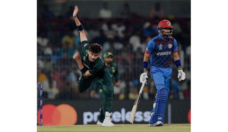 Tri-nation T20 series 2025: Pakistan, Afghanistan fans to be seated separately at UAE grounds