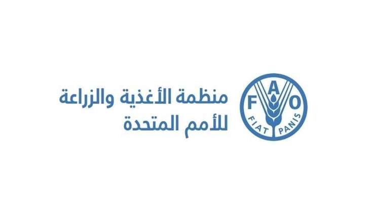 الفاو : ارتفاع أسعار اللحوم والزيوت وانخفاض منتجات الألبان والأرز
