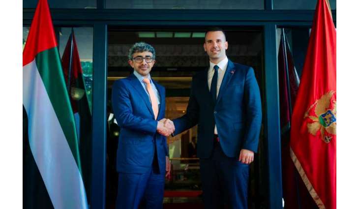 Abdullah bin Zayed meets Prime Minister of Montenegro in Podgorica