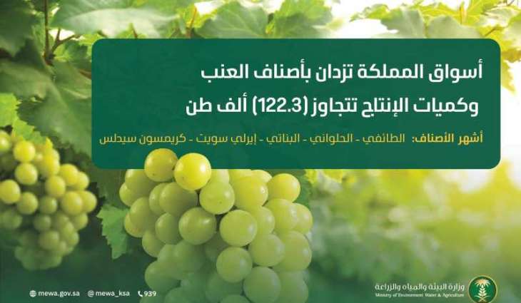 أسواق المملكة تزدان بأجود أصناف العنب وكميات الإنتاج تتجاوز (122.3) ألف طن