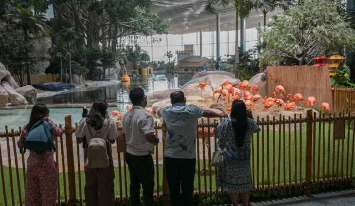 SeaWorld Abu Dhabi enriches marine knowledge, entertainment