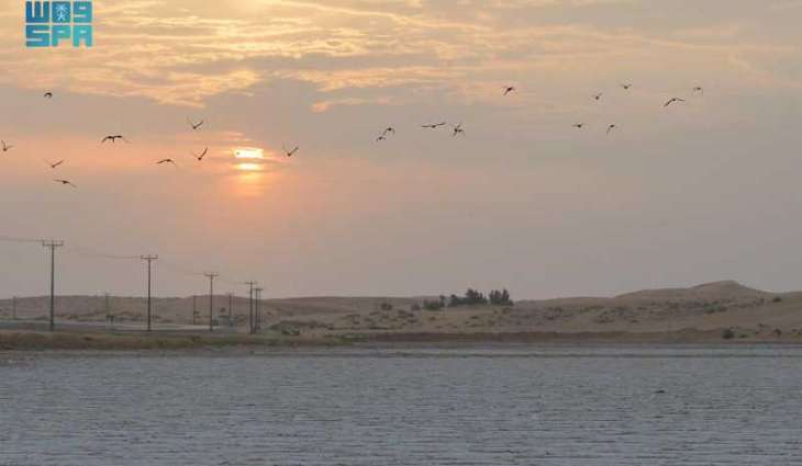 بحيرات الملح الطبيعي تتجلى في بلدة 