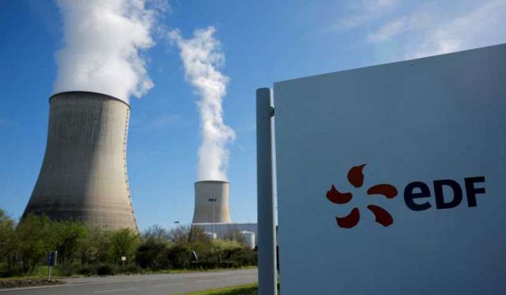 Jellyfish swarm shuts down French nuclear plant