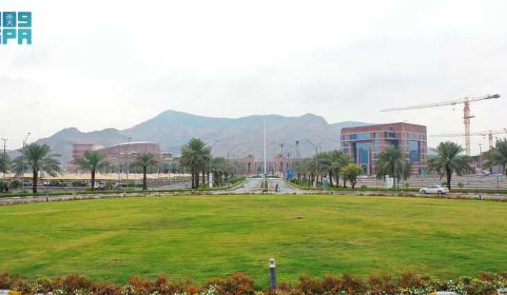 جامعة طيبة تستقطب 71 طالبًا وطالبة ضمن برنامج 