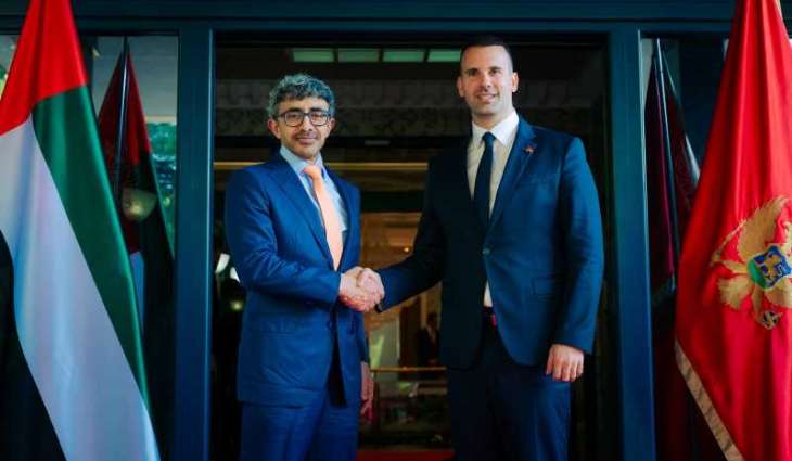 Abdullah bin Zayed meets Prime Minister of Montenegro in Podgorica