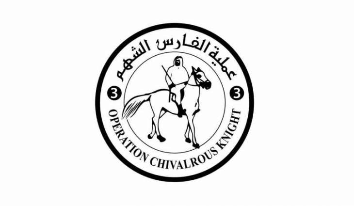 ‘Operation Chivalrous Knight 3’: UAE delivers 6,775 tonnes of aid to Gaza in 325 trucks since border crossings reopening