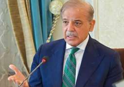 PM Shehbaz takes notice of flood situation in Sindh 